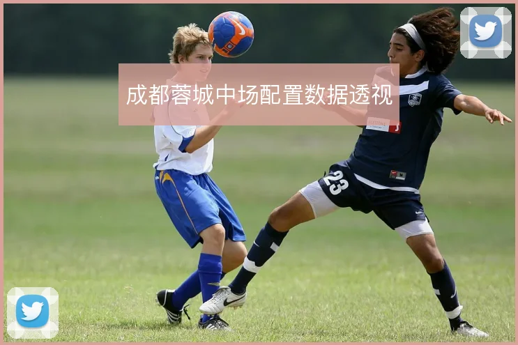 成都蓉城中场配置数据透视