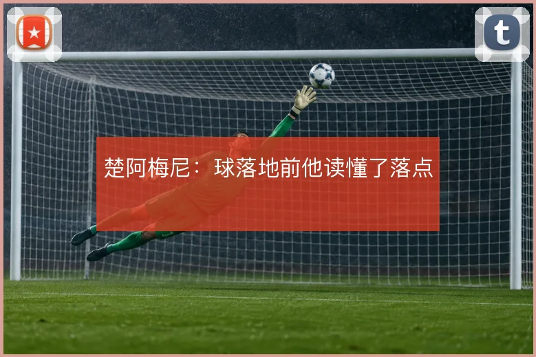 楚阿梅尼:球落地前他读懂了落点